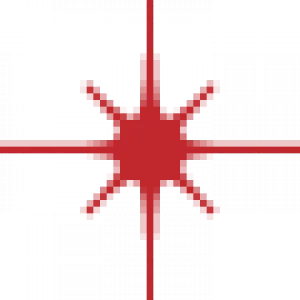 Map Icon