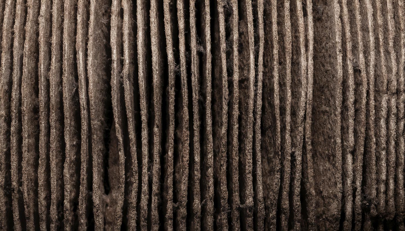 Dirty Wildfire Smoke Air Filter