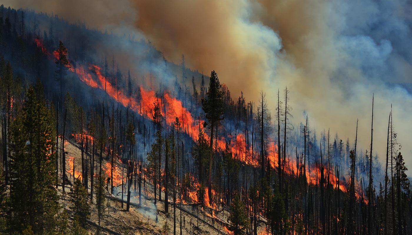 filter connection wild fire smoke air filters